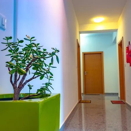 Botic Apartment
