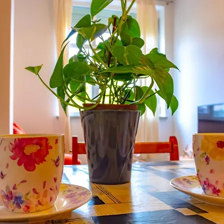 Botic * ポレッチ